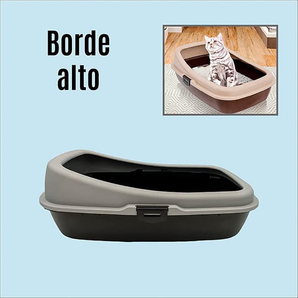 Arenero xxl 2025 gato
