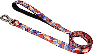 ASTORPET Correa para Perro. Mango Acolchado, Suave y Resistente. Cierre con Bloqueo de Seguridad. 360º. Correa de Paseo y Adiestramiento. 1,5 m. - astorpet