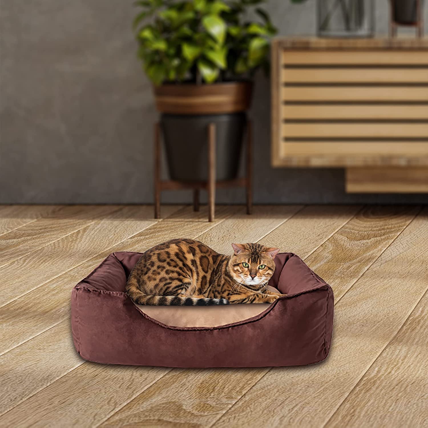 Cama Lisa de Color Marrón Wodoti De Luxe - astorpet