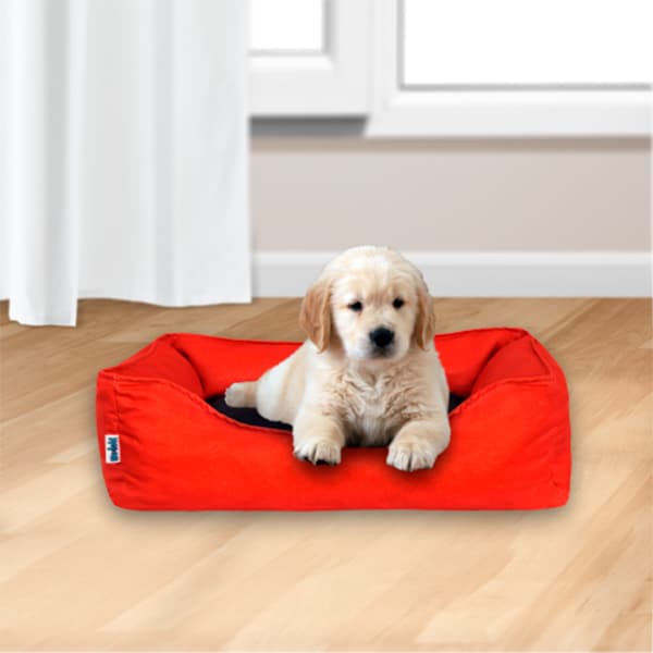 Cama Lisa de Color Rojo Wodoti - astorpet