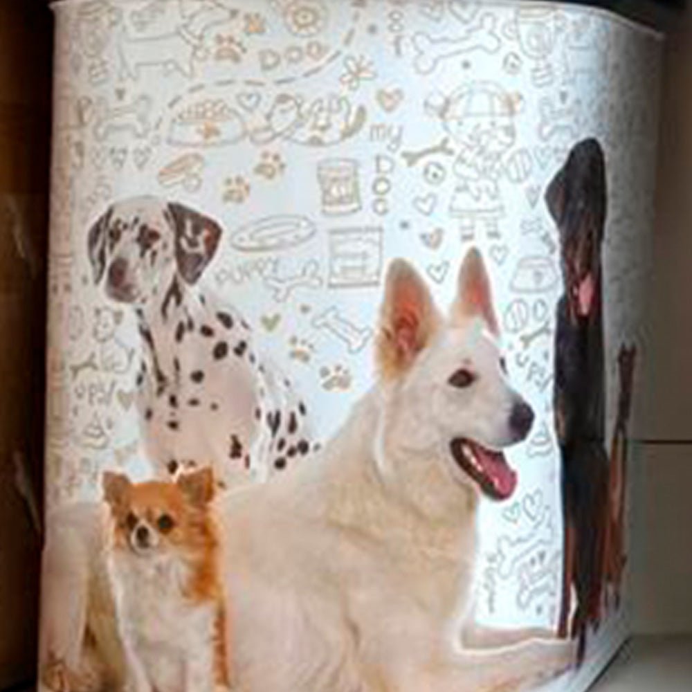 Contenedor de Comida para Mascotas 33 Litros. Astorpet | Irak PT-280 - astorpet